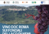 Nel Lago di Nemi si conserva il vino di Caligola vino_lago_nemi
