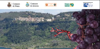 Nel Lago di Nemi si conserva il vino di Caligola vino_lago_nemi