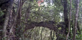 Gli appuntamenti di Cose Mai Viste del 6 e 7 luglio archeologia_parco