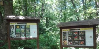 Restaurato e riaperto il boschetto delle Faete boschetto_faete