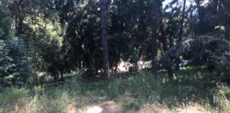 Pd “Frascati abbandonata da un’Amministrazione incapace” frascati