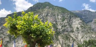 Volley Club Frascati, un altro camp di successo camp_vcf