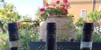 Frascati, si inaugura venerdì il nuovo format Vino e Città vini_vitus