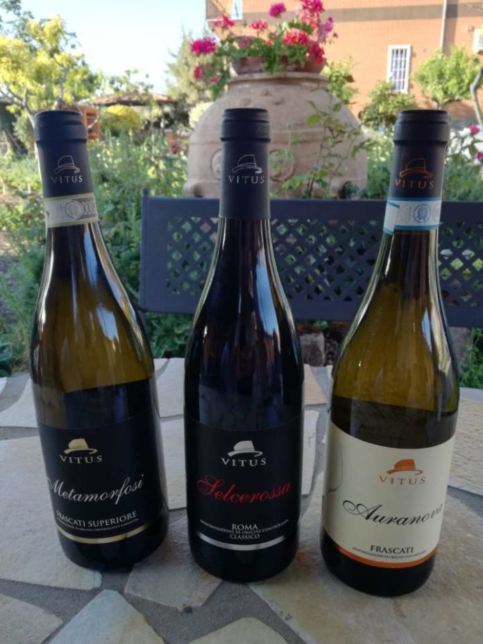 vini_vitus