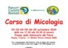 Cose Mai Viste, torna a settembre il corso di Micologia locandina
