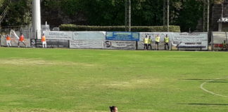 Vis Artena, vittoria in rimonta in Coppa Italia prandelli_vis_artena