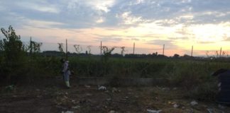 Silvani e Venanzoni “Plauso agli operatori Multiservizi” multiservizi