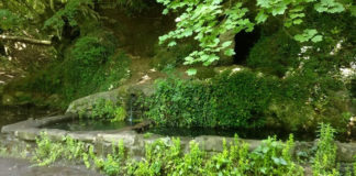 Passeggiata da Nemi a Fontan Tempesta fontan_tempesta