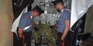 Pusher arrestato dai Carabinieri di Frascati serra_sequestrata