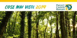 Alla scoperta della Faiola, il bosco dei briganti bosco_faiola