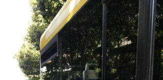 Amministrazione Albano sulla situazione del Trasporto Scolastico cavalieri_trasporto_scolastico