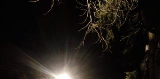 Ammodernamento della pubblica illuminazione ad Albano led_albano