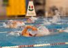 Tc Frascati, propone corsi adulti per il nuoto nuoto_new_country