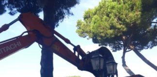 Pd Albano su riqualificazione Piazza Mazzini piazza_mazzini_riqualificazione