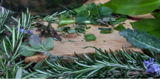 Minicorso di botanica e cucina ad ottobre 2019 minicorso