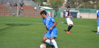 Albalonga, Falasca dopo il big match col Monterosi falasca