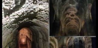 Radio Parco – Notiziario del 23 e 24 Novembre