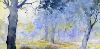 Radio Parco – Notiziario del 30 Novembre e del Primo Dicembre