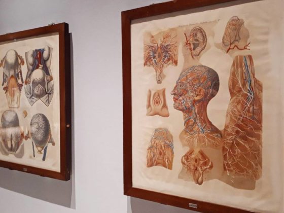 mostre_palazzo_esposizioni