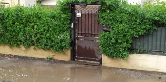 Silvani e Venanzoni sull’acqua a Viale Kennedy viale_kennedy_acqua