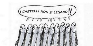 Nasce il gruppo Facebook Sardine Castelli Romani sardine_castelli_romani