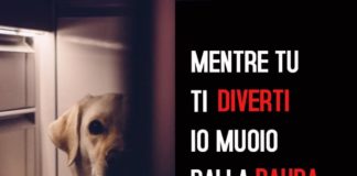 Continua la campagna #bastabotti2019 #bastabotti2019