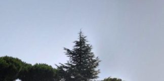 Natale super per i bimbi del San Camillo albero