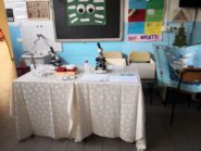 laboratorio
