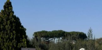 Albano, posizionati box per rilevazioni velocità box