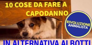 Rivoluzione Animalista, “Comuni emettano ordinanze contro botti” botticapodanno
