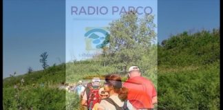 Radio Parco – Notiziario di sabato 14 e domenica 15 dicembre