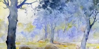 Radio Parco – Notiziario di sabato 7 e domenica 8 dicembre