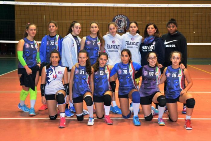 II_div_terr_femm_david