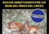 Rivoluzione Animalista, “No a sterminio daini nel Parco del Circeo” locand