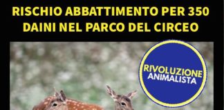 Rivoluzione Animalista, “No a sterminio daini nel Parco del Circeo” locand
