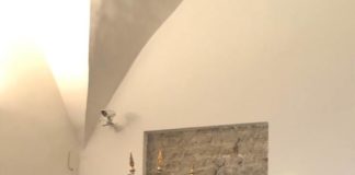 Palestrina conferisce cittadinanza onoraria a Ferzan Ozpetek ozpetek_palestrina