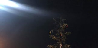 Assotutela “Grazie Raggi per donazione albero di Natale” alberonataleraggi