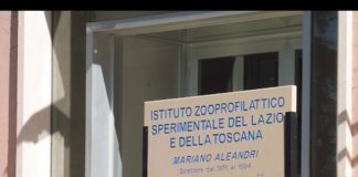 Radio Parco – Notiziario di sabato primo e domenica 2 febbraio