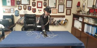 Giovane donna seviziata a Ciampino cavielettrici