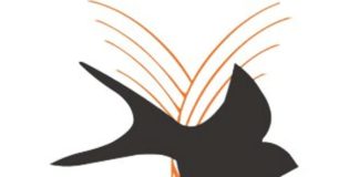 Continua la collaborazione tra Andos e Comune di Marino logo