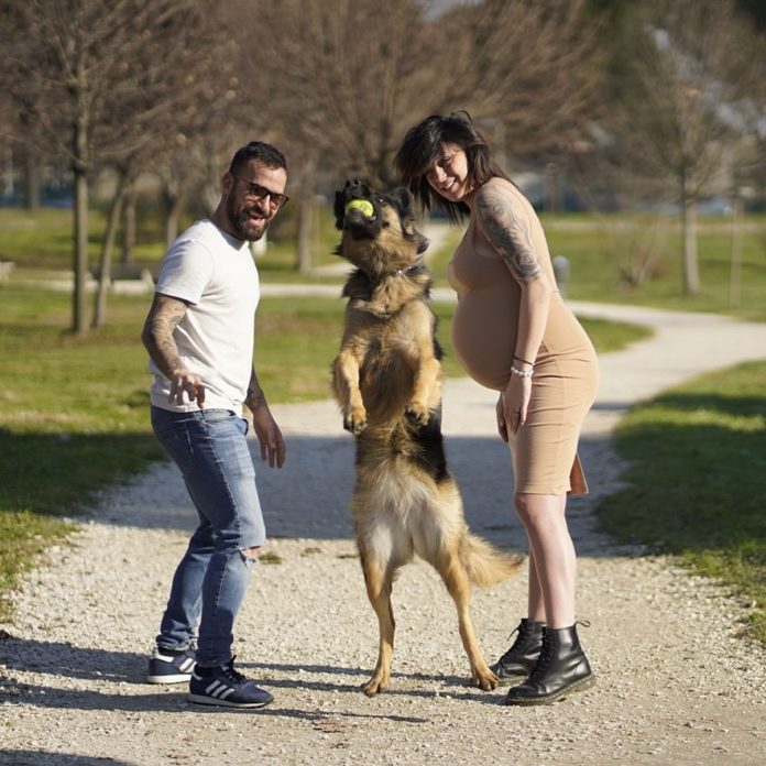 giuliani_aquino_cane