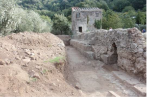nemi