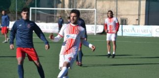 Vivace Furlani Grottaferrata, Paolacci mantiene la calma paolacci