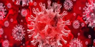 Coronavirus, bollettino delle Asl della Regione Lazio del 14 marzo coronavirus