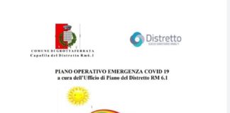 Piano operativo di emergenza Covid19 del distretto Rm 6.1 piano_covid19_rm_6_1