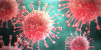 Frascati, mail e numero anti Coronavirus coronavirus