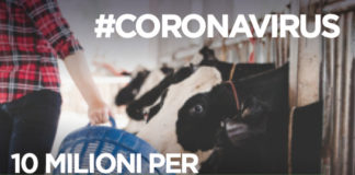 Onorati “10 milioni di Euro per florovivaismo e lattiero-caseario” 10_mil_agroalimentare_lazio