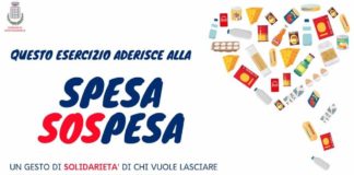 Grottaferrata, da Vandoeuvre 1000 Euro spesasospesa