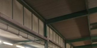 Blitz dellla Polizia Locale di Albano al MOAL polizia_locale_blitz_moal_albano