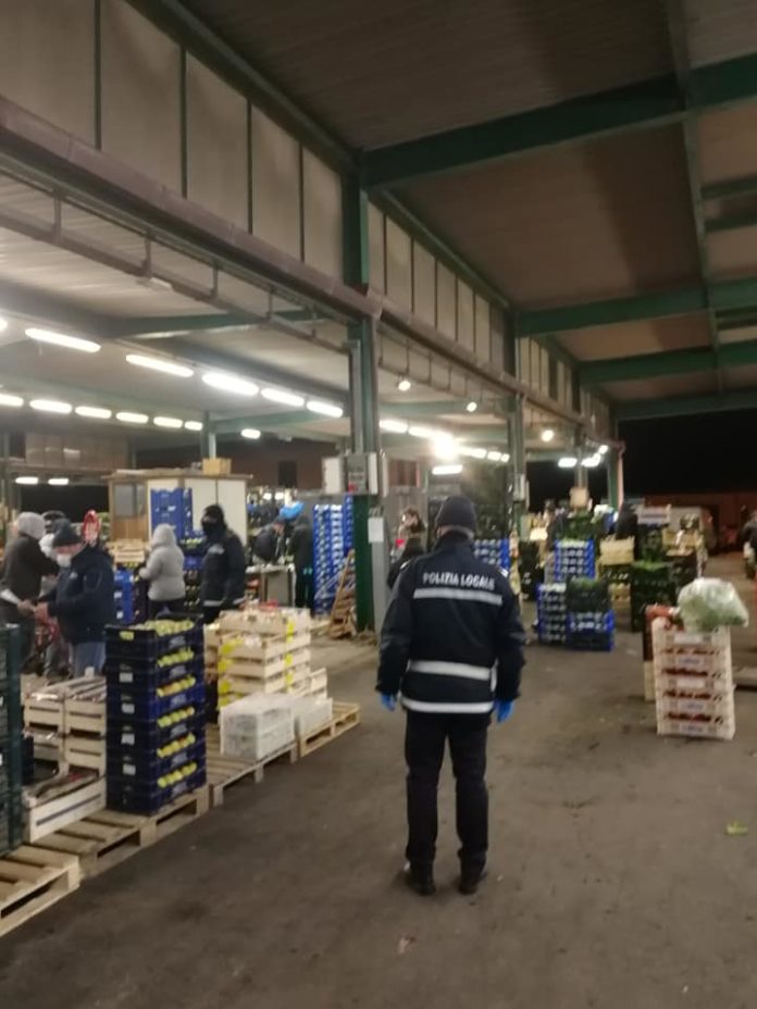 polizia_locale_blitz_moal_albano